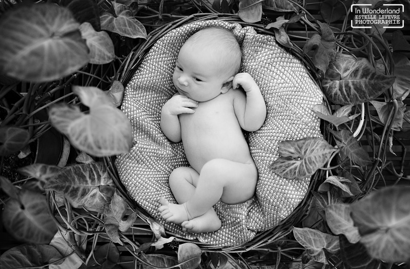 Bébé dans un panier au milieu des feuilles