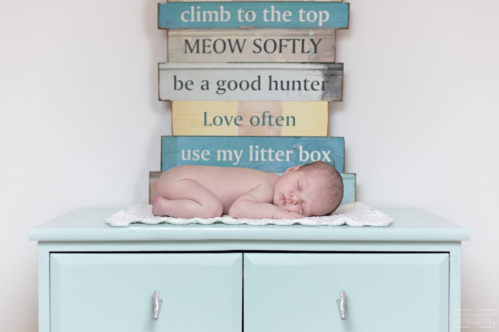 Photographe de naissance à domicile Houilles