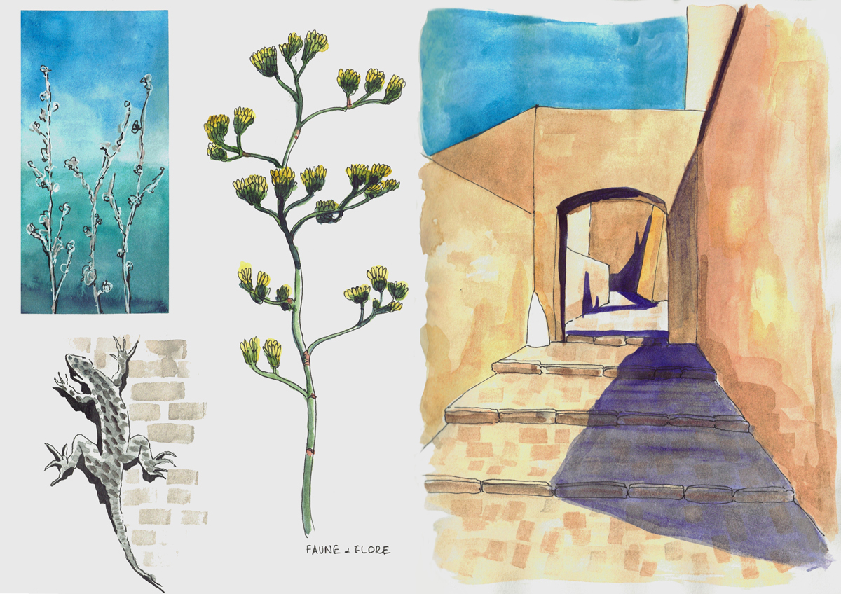 Carnet de voyage en Corse